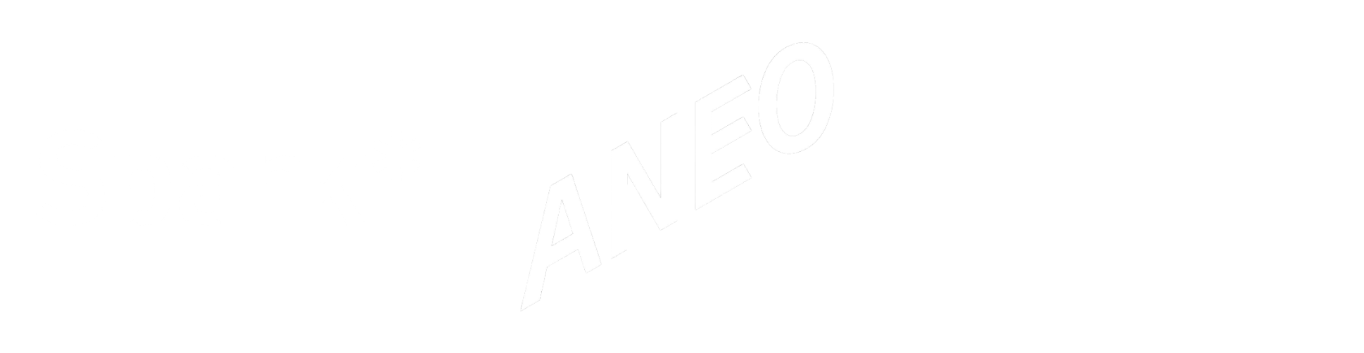 Spark* + Aneo